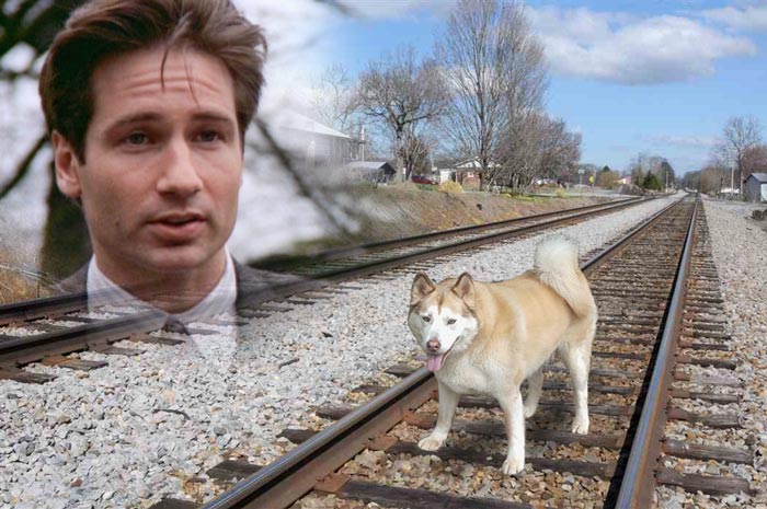 Mulder and dog